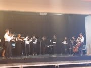 Krajské kolo soutěže ZUŠ, Smyčcové orchestry, 3.4.2025, Holice